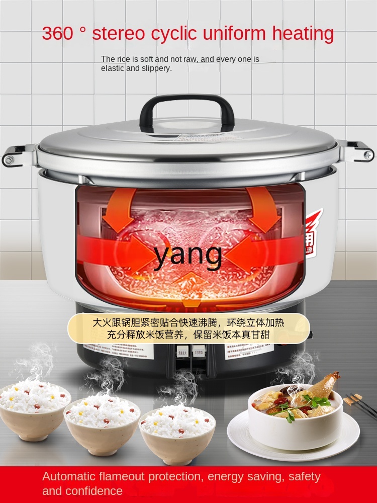 LCX 상업용 가스 대용량 구식 밥솥 캔틴 다기능 보온 - Baby Rice Food 리뷰 및 가격